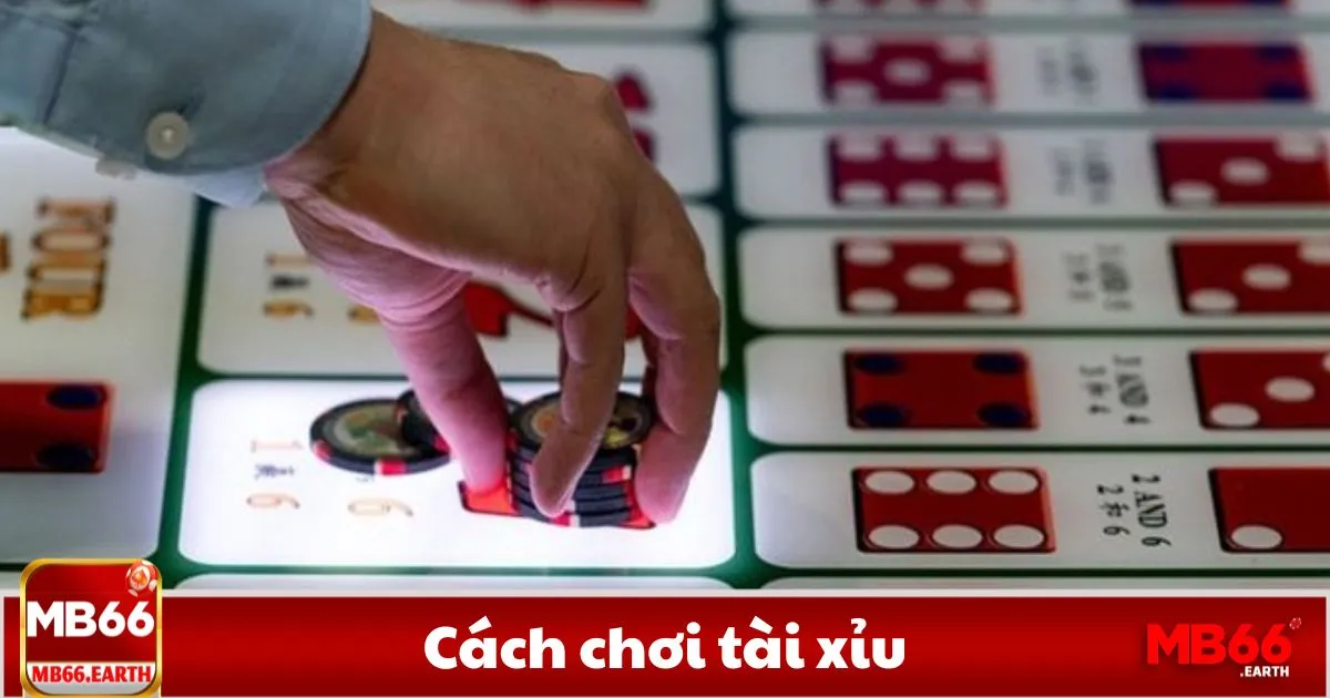 Tài Xỉu là gì? Nguyên tắc cơ bản trong trò chơi