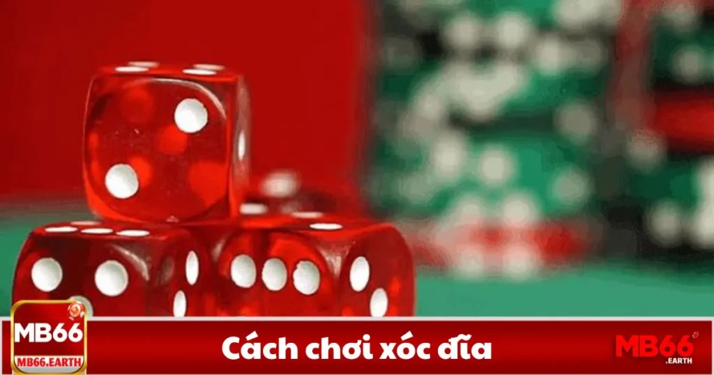 Cách Chơi Xóc Đĩa - Hướng Dẫn Cách Cá Cược Tại MB66