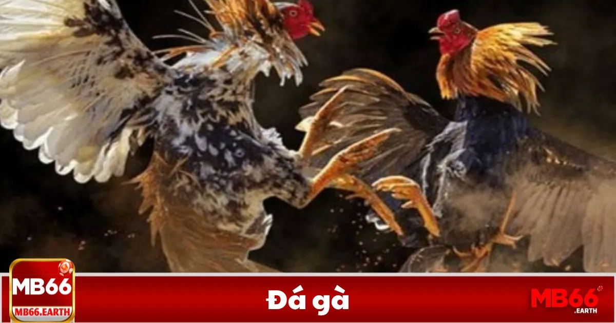 Quản lý vốn & thời điểm đặt cược để tối đa hóa lợi nhuận