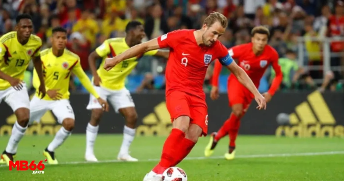 Hiểu rõ cấu trúc bảng cược