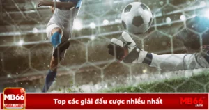 Top Các Giải Đấu Cược Nhiều Nhất Ngay Tại Nhà Cái MB66